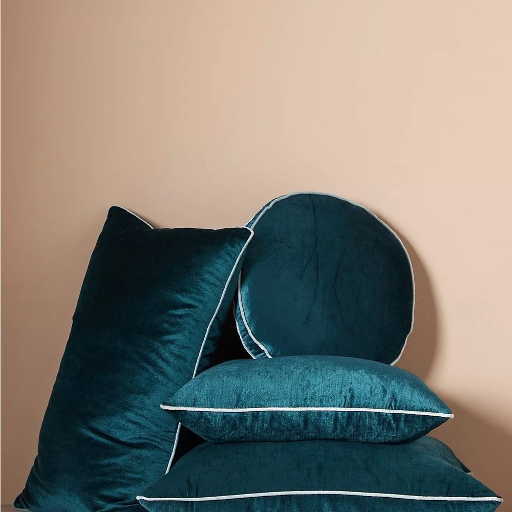 New Anthropologie Adelina Velvet Pillow One Size